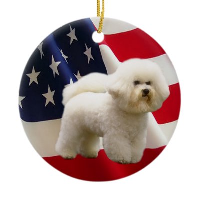 Bichon Frise Ornament by normagolden