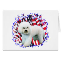 Bichon Frise Patriot cards