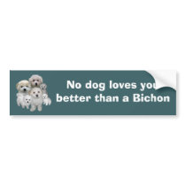 Bichon Frise Puppies Bumper Sticker