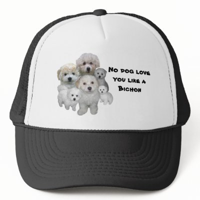Bichon Frise Puppies Hat by normagolden