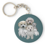 Bichon Frise Puppies Keychain