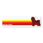 Bichon Frise With Stripes Bumper Sticker