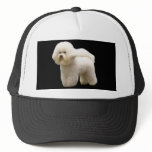 Bichon Hat