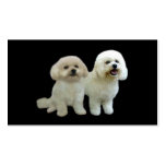 Bichon Lover Business Card