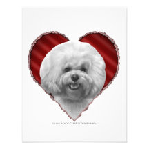 Bichon with Heart Invitation