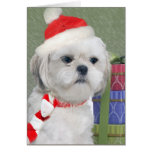 Bichon Xmas Gifts cards