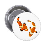 Bickering Clownfish Buttons