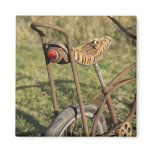 Bicycle Cycle Bicycling Cycling Banana Cruiser Magnets