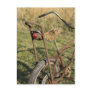 Bicycle Cycle Bicycling Cycling Banana Cruiser Post Cards