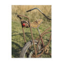 Bicycle Cycle Bicycling Cycling Banana Cruiser postcards