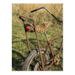 Bicycle Cycle Bicycling Cycling Banana Cruiser Post Cards
