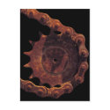 Bicycle Cycle Bicycling Cycling Chain Gear postcards