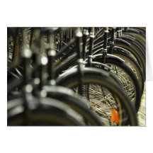 Bicycle Cycle Bicycling Cycling Handlebars Card