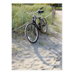 Bicycle Cycle Bicycling Cycling Miami Beach Postcards