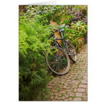 Bicycle Cycle Bicycling Cycling Miami Florida Greeting Card