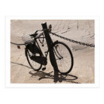 Bicycle Cycle Bicycling Cycling Miami Florida Post Card