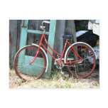 Bicycle Cycle Bicycling Cycling Old Shed Postcard