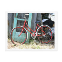 Bicycle Cycle Bicycling Cycling Old Shed Postcards