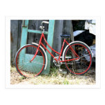 Bicycle Cycle Bicycling Cycling Old Shed Postcards