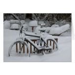 Bicycle Cycle Bicycling Cycling Waiting For Spring Card
