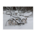 Bicycle Cycle Bicycling Cycling Waiting For Spring Postcard