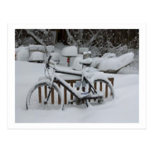Bicycle Cycle Bicycling Cycling Waiting For Spring Postcards