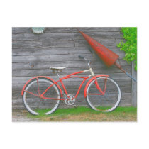 Bicycle in Leland