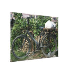 Bicycle in Taipei garden, Taiwan Canvas Prints