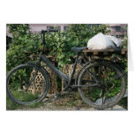 Bicycle in Taipei garden, Taiwan Card