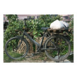 Bicycle in Taipei garden, Taiwan Art Photo