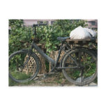 Bicycle in Taipei garden, Taiwan Post Cards