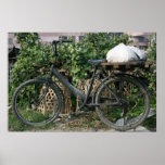 Bicycle in Taipei garden, Taiwan posters