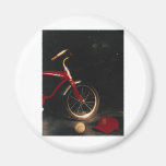 Bicycle Refrigerator Magnet