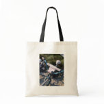 Bicycle Rental Cycle Bicycling Cycling Miami Beach Bags