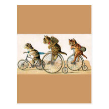 Bicycle Ride Post Card