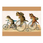 Bicycle Ride Postcards