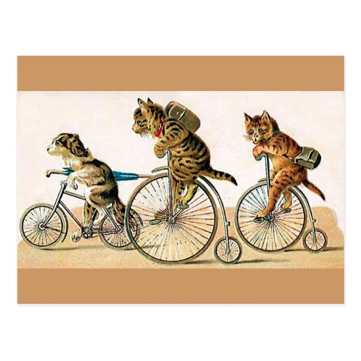 Bicycle Ride Postcards