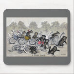 Bicycle Riding Cats mousepads