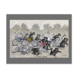 Bicycle Riding Cats postcards