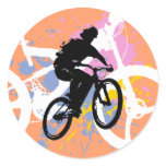 Bicycle stickers