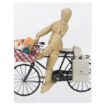 BicyclePicnicBasket120509 copy flyers