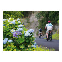 Bicycles and hydrangeas personalized invitation