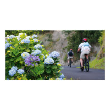 Bicycles and hydrangeas photo cards