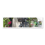 Bicycles and roses in Sweden Bumper Stickers