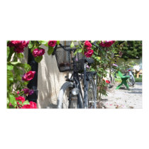 Bicycles and roses in Sweden Photo Cards