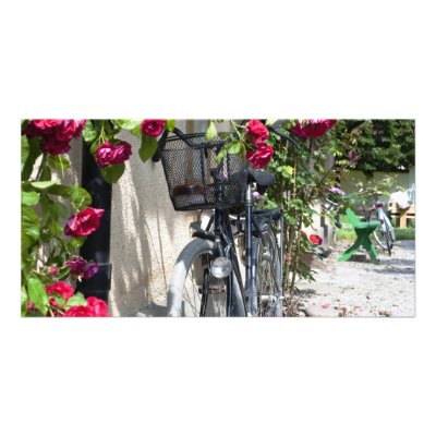 Bicycles and roses in Sweden Photo Cards by arnet17