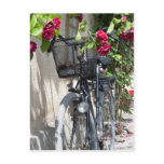 Bicycles and roses in Sweden Post Card