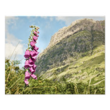 Bidean Nam Bian Glen coe Photographic Print