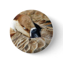 Big Beautiful Goose Geese Feathers Pinback Buttons