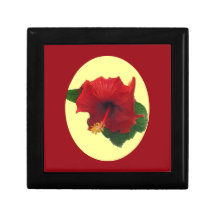 Big Beautiful Red Hibiscus from Costa Rica Gift Box